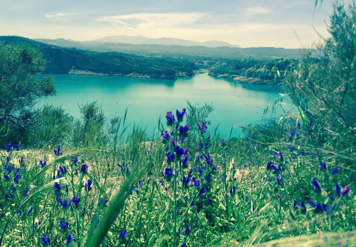 Cortijo Paraiso Charcon Higuera Dış mekan fotoğraf