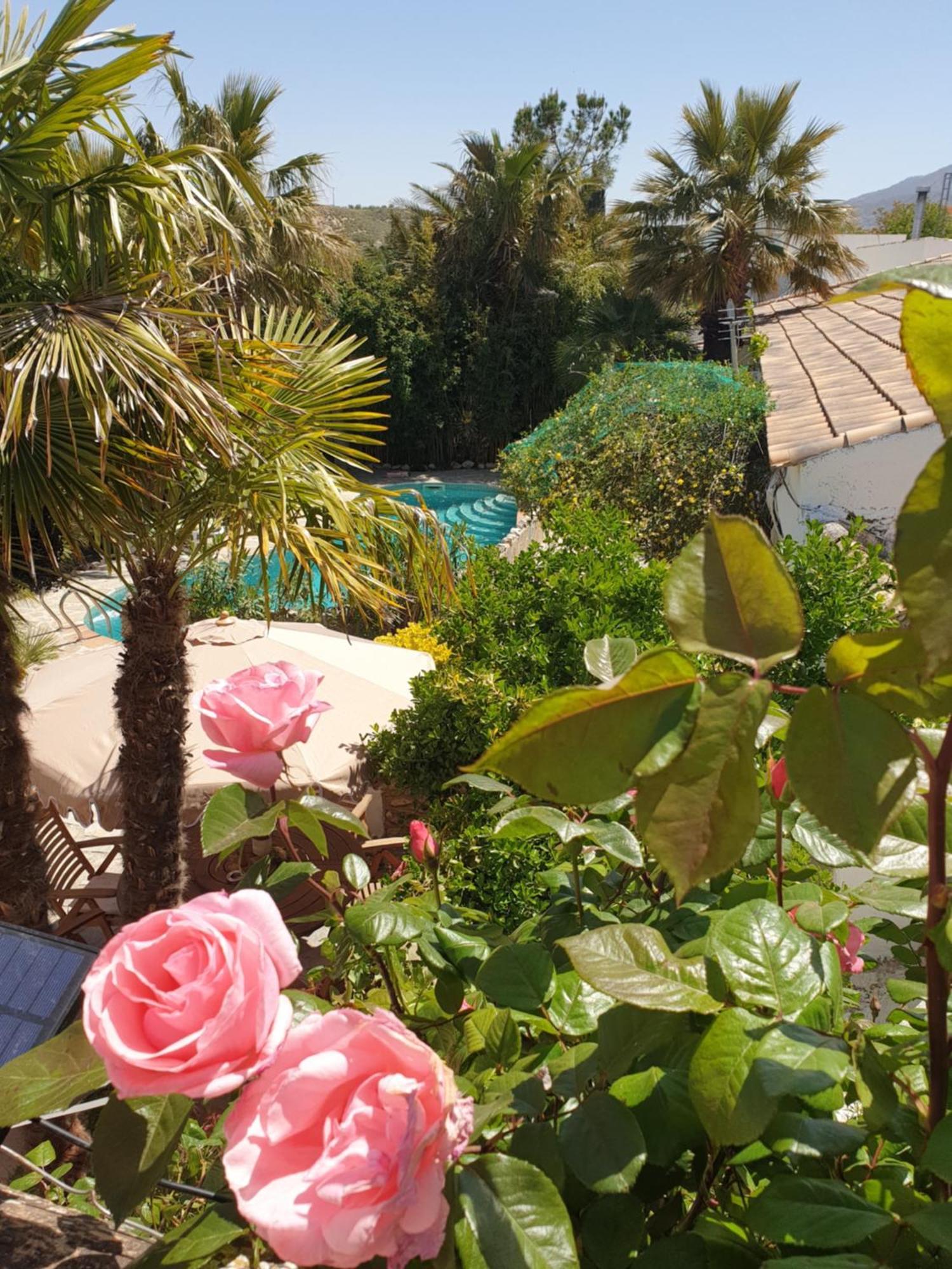 Cortijo Paraiso Charcon Higuera Dış mekan fotoğraf